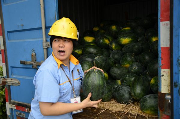 今年会·jnh(中国区)官方网站