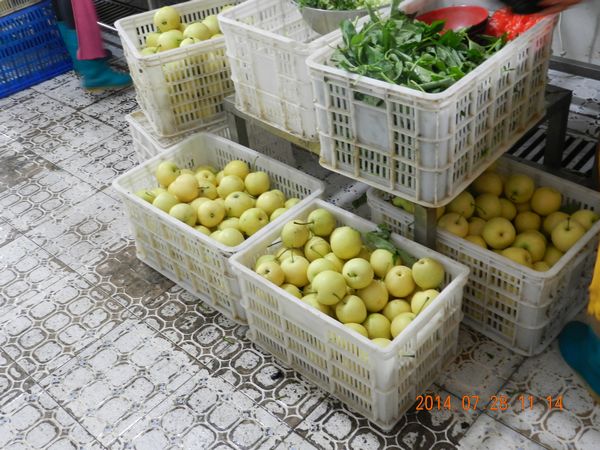 今年会·jnh(中国区)官方网站