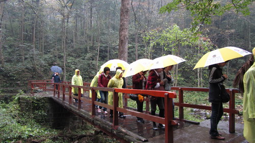 我公司组织部门员工张家界，凤凰古城四日游