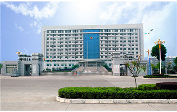 Luoshan County Party Committee