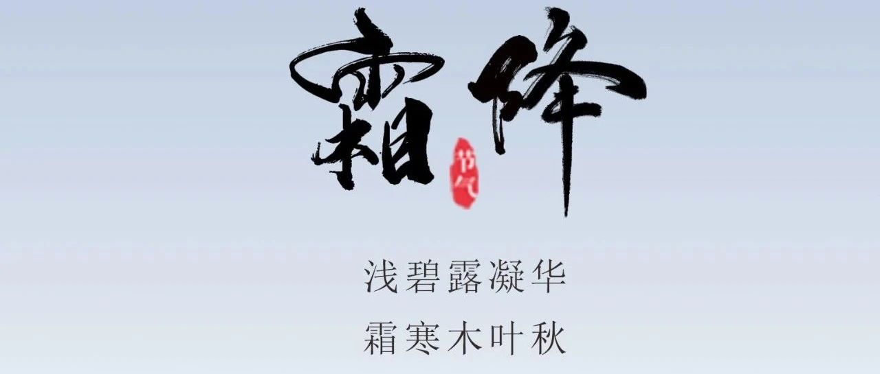 霜降 | 人间至此秋色尽  霜染枝头享舒服