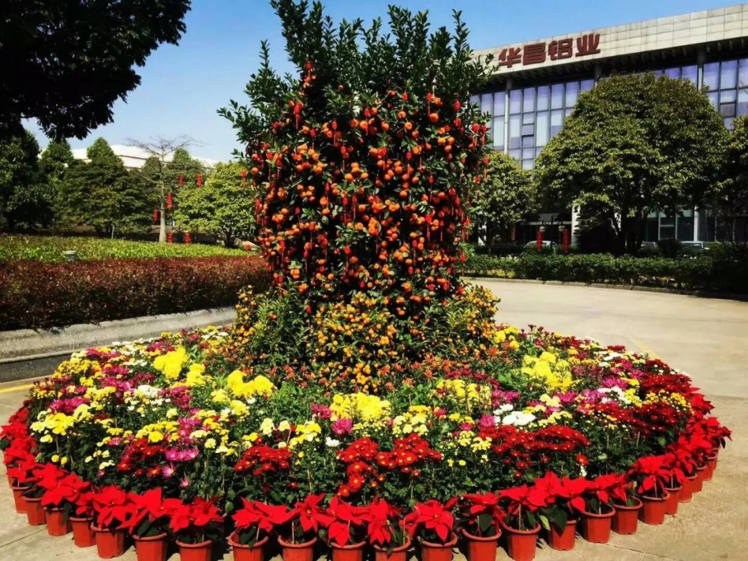 今年会·jnh(中国区)官方网站