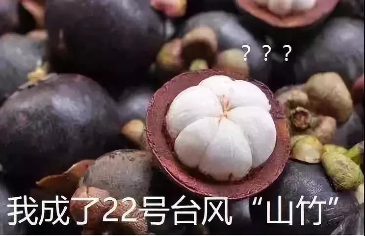 今年会·jnh(中国区)官方网站